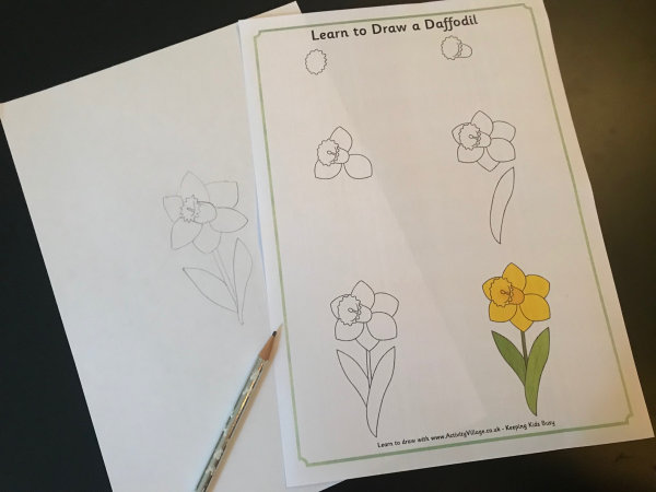 600x450 learn to draw a daffodil - Daffodil Drawing