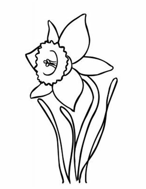 474x613 daffodil outline drawings gtgt - Daffodil Drawing Outline