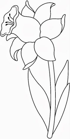 236x471 Black, Outline, Drawing, Flower, White, Flowers, Free Drawing - Daffodil Drawing Outline