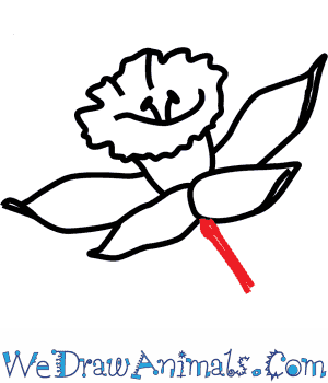300x350 How To Draw A Daffodil Flower - Daffodil Flower Drawing