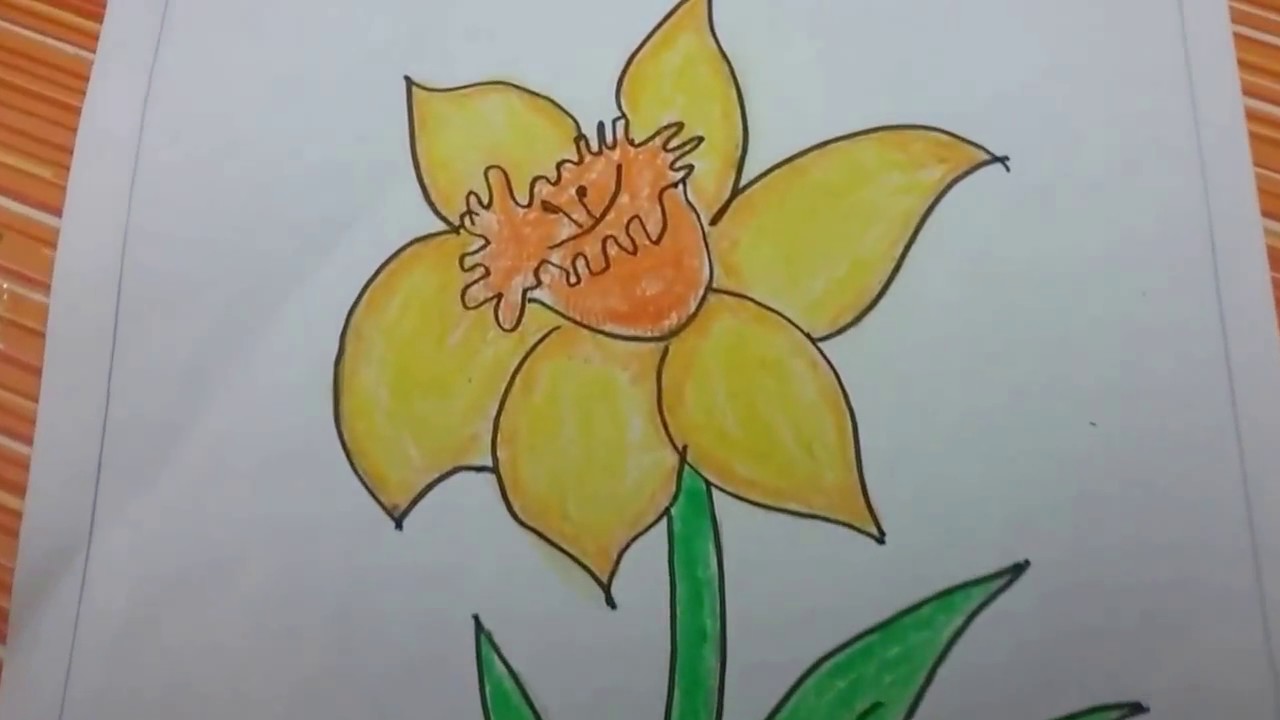 1280x720 How To Draw A Daffodil Flower,with Basic Shapes, East Drawing - Daffodil Flower Drawing
