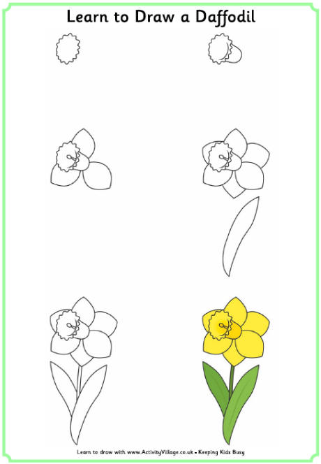 460x664 Learn To Draw Flowers - Daffodil Flower Drawing