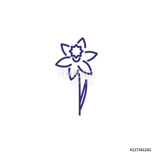 500x500 daffodil line icon flower, spring, botany flower concept vector - Daffodil Line Drawing