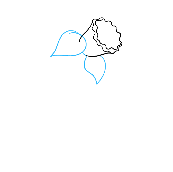 680x678 How To Draw A Daffodil - Daffodil Line Drawing