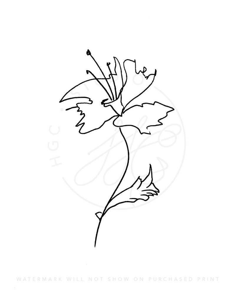 794x992 Simple Daffodil Line Drawing Print Etsy - Daffodil Line Drawing