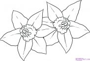 183x125 coloring pages for kids disney free stitch daffodils line drawing - Daffodil Line Drawing