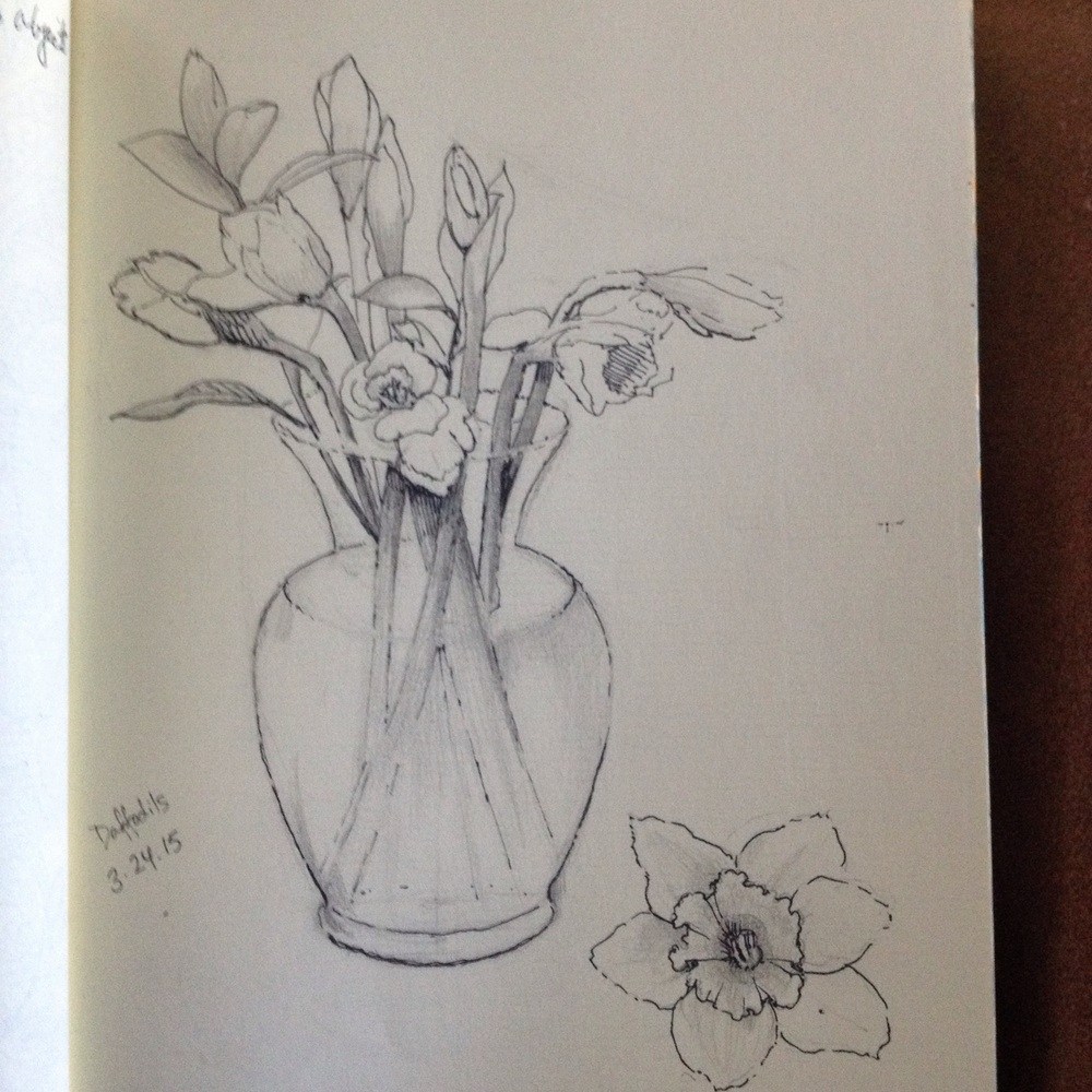 1000x1000 Daffodil Pencil Drawing Sketches Flowers - Daffodil Pencil Drawing