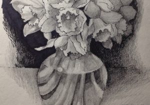 300x210 daffodil pencil sketch daffodils andrea brooks studio - Daffodil Pencil Drawing