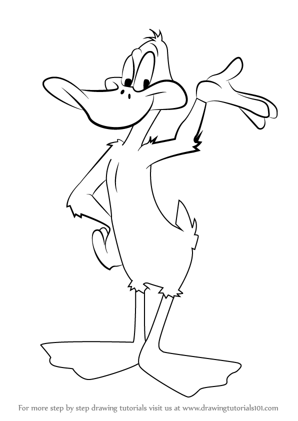 596x842 Learn How To Draw Daffy Duck From Looney Tunes - Daffy Duck Drawing