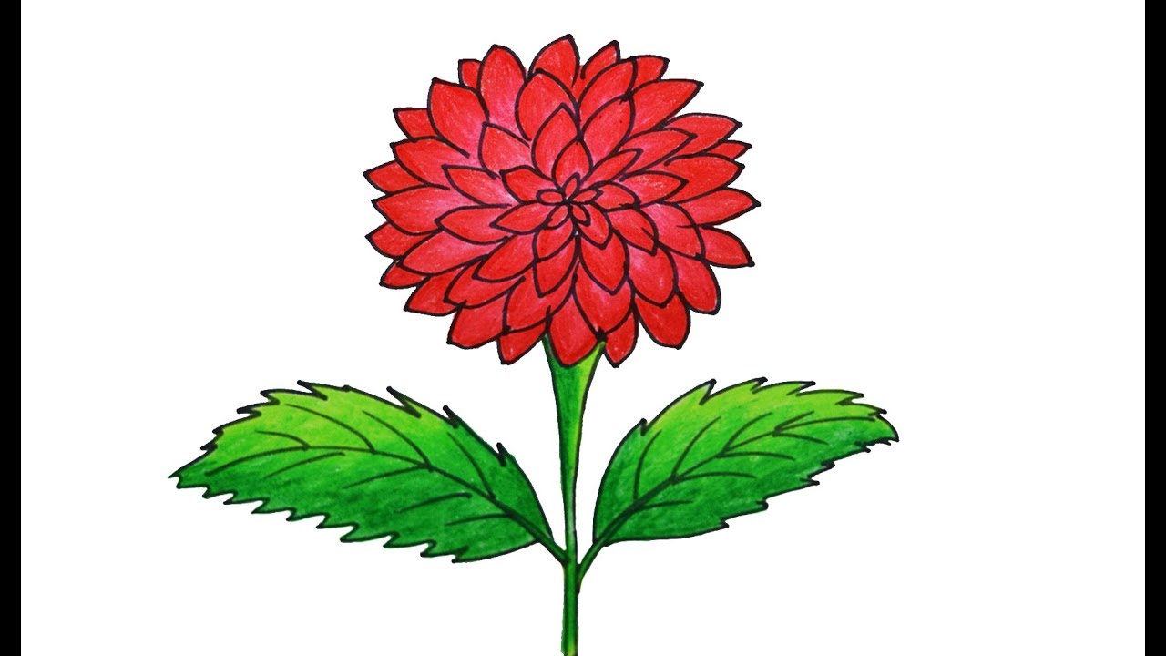1280x720 dahlia flower drawing very easy and simple sayataru creation - Dahlia Drawing