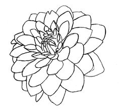 236x221 Line Drawing Of A Flower Free Download Clip Art Free Clip Art - Dahlia Drawing
