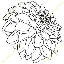 225x225 dahlia drawing tats flower line drawings, drawings, dahlia tattoo - Dahlia Drawing