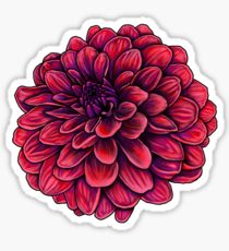 210x230 dahlia drawing gifts merchandise redbubble - Dahlia Drawing