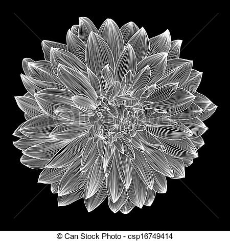 450x470 Black And White Drawing Of Dahlia Flower Element For Your Design - Dahlia Flower Drawing