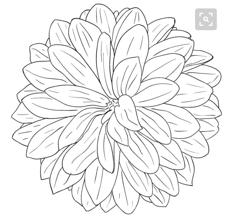 750x713 Drawing Doodles - Dahlia Flower Drawing