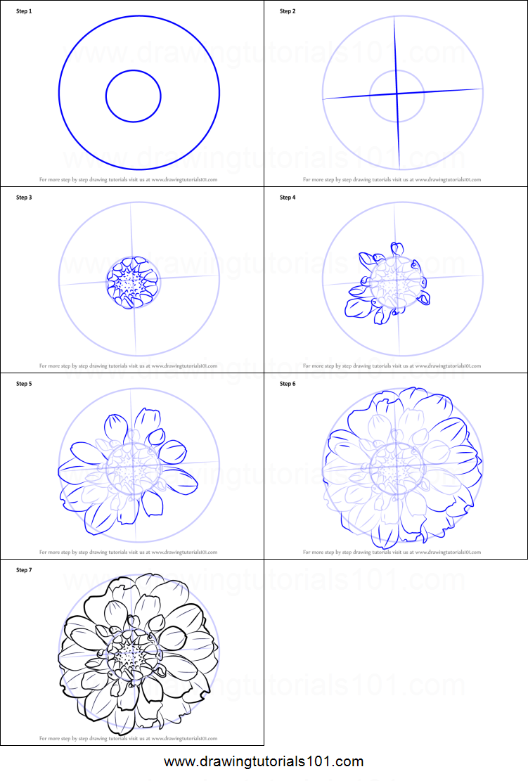 751x1111 How To Draw Dahlia Flower Printable Step - Dahlia Flower Drawing
