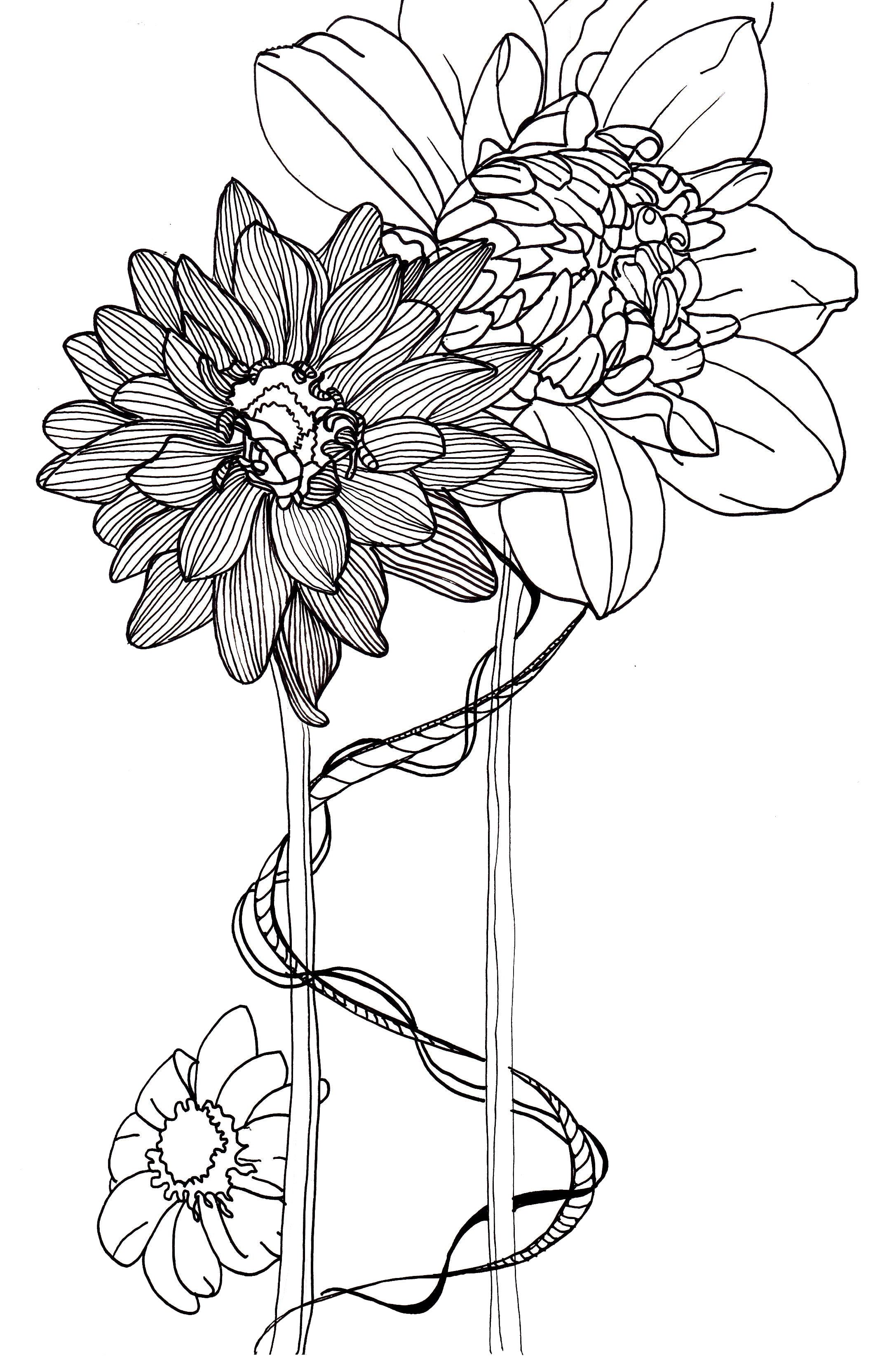 2152x3328 Line Drawing - Dahlia Line Drawing
