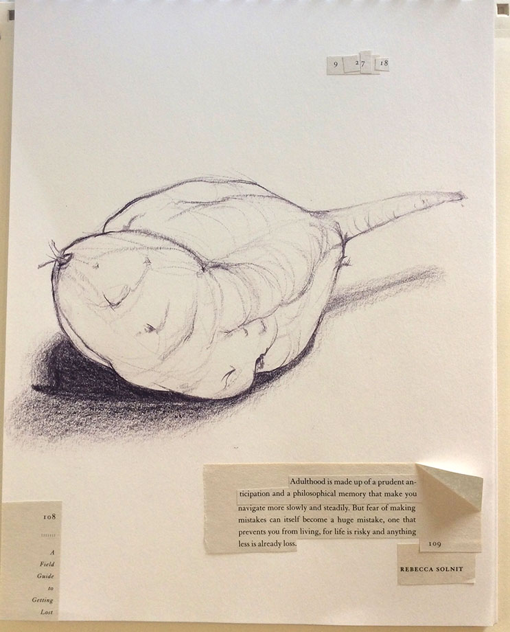 743x920 the daily potato a look - Daily Drawing