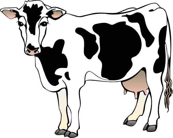 600x477 dairy cow clip art - Dairy Cow Drawing