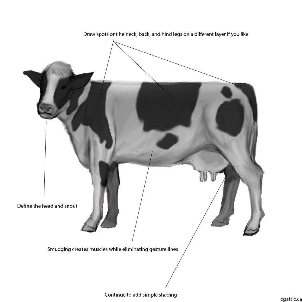 Как нарисовать корову сзади