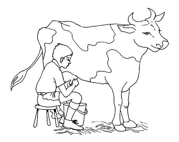 600x475 coloring pages for kids animals disney stitch summer cattle cow - Dairy Cow Drawing