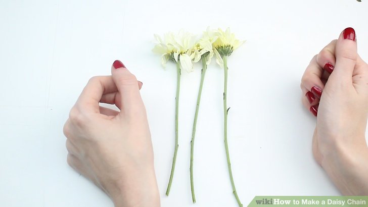 728x410 How To Make A Daisy Chain Steps - Daisy Chain Drawing