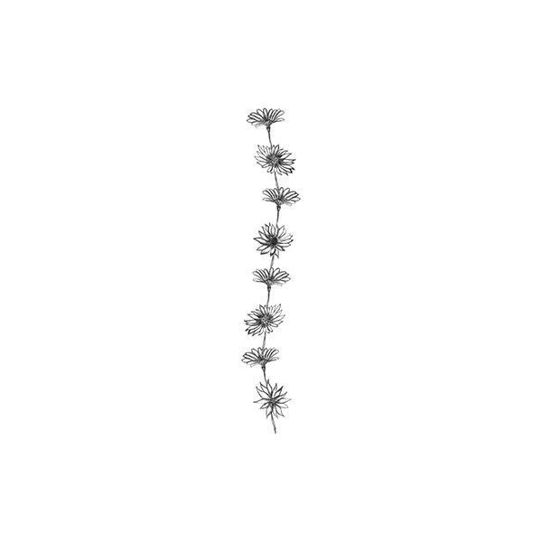 600x600 Daisy Chain Drawing - Daisy Chain Drawing
