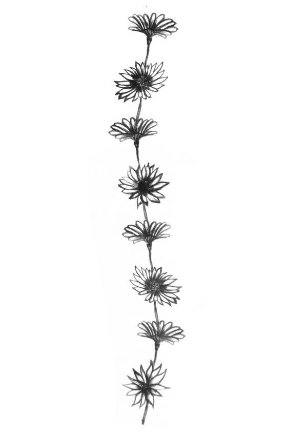 564x846 Daisy Chain Drawing - Daisy Chain Drawing