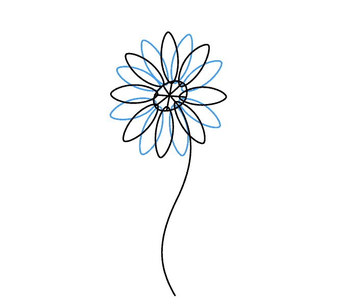 678x600 How To Draw A Daisy Easy Drawing Guides - Daisy Drawing