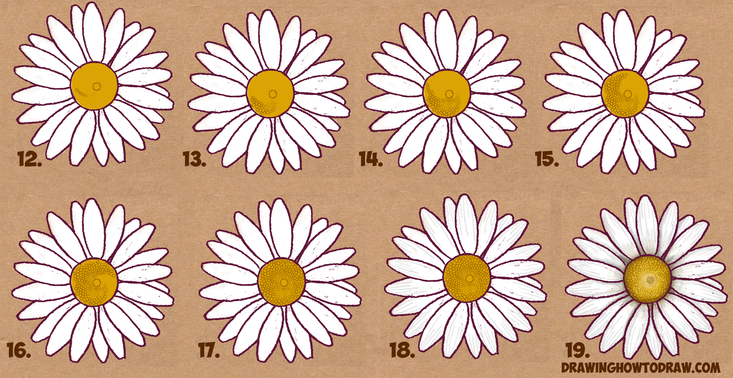 2500x1290 How To Draw A Daisy Flower - Daisy Drawing