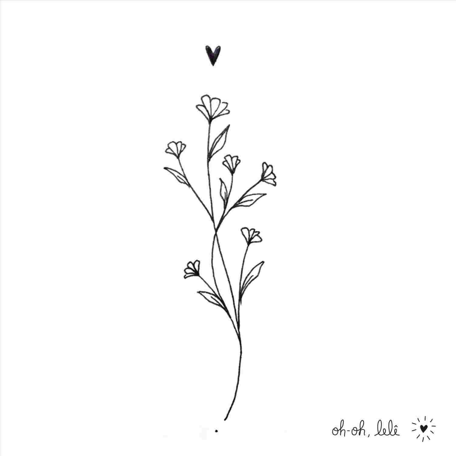 1501x1501 Simple Daisy Drawing - Daisy Drawing