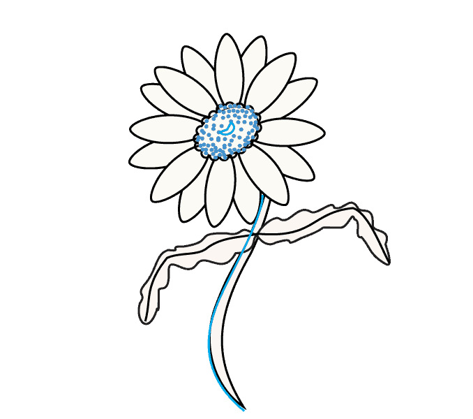 678x600 How To Draw A Daisy Easy Drawing Guides - Daisy Drawing Images