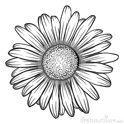 400x400 Daisy Clipart Daisy Outline - Daisy Drawing Outline