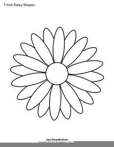 232x300 Daisy Outline Drawing Free Images - Daisy Drawing Outline