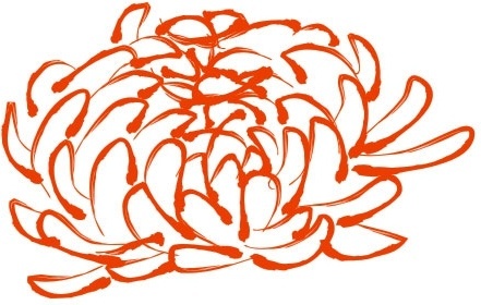 441x280 Daisy Flower Drawing Outline Free Vector Download - Daisy Drawing Outline
