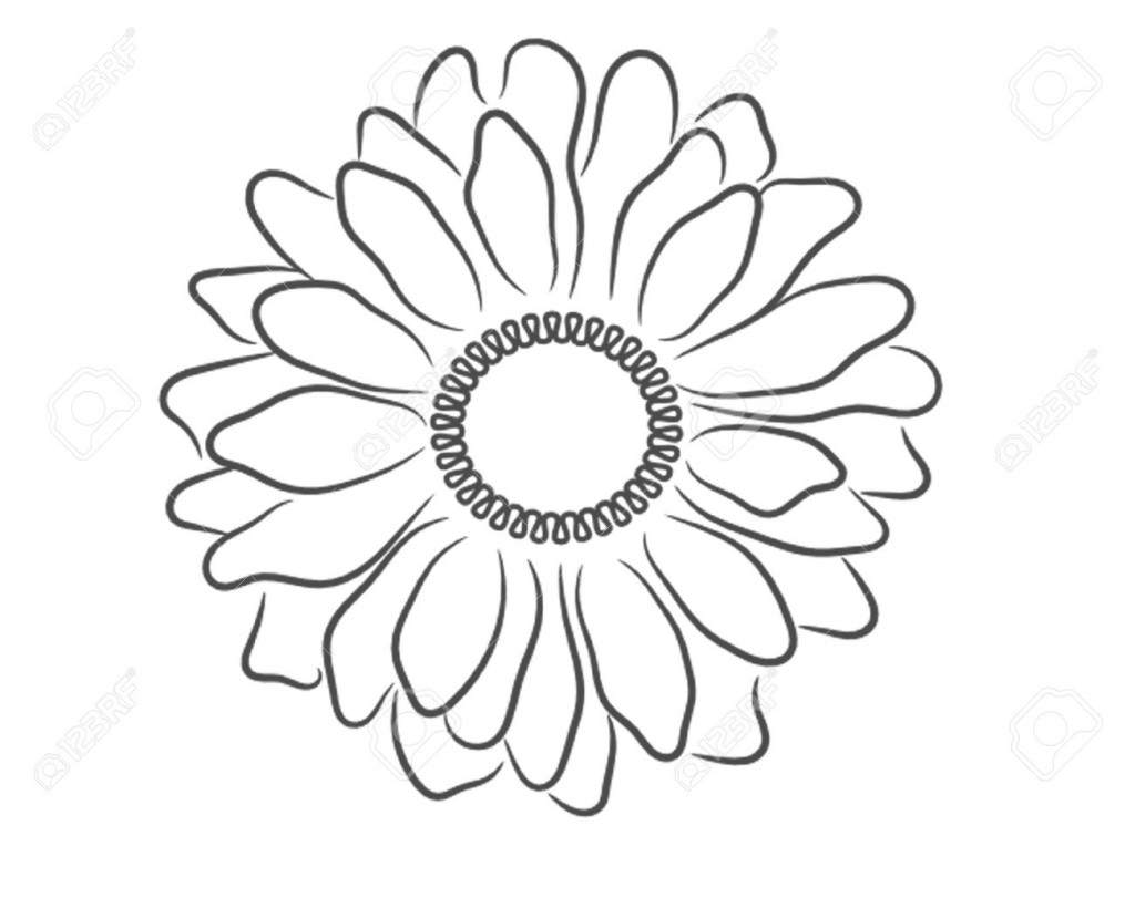 Black And White Daisy Outline Royalty Free Cliparts, Vectors - Daisy Drawin...