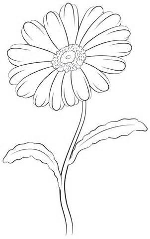 302x480 Daisy Leaf Outline - Daisy Drawing Outline