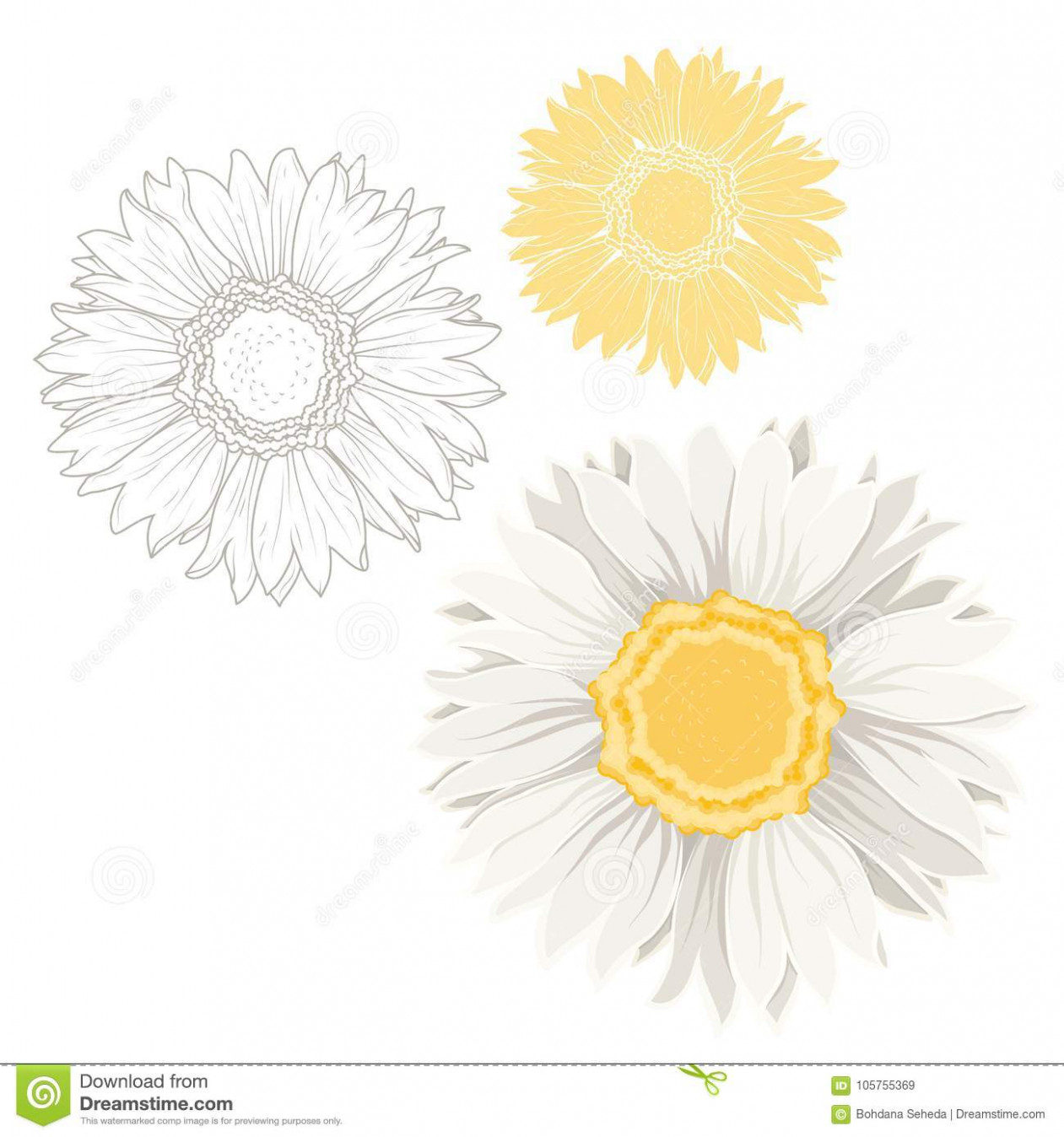 1261x1348 Tatoo Outline Of Daisy Flower Flower Drawing Outline Crafting - Daisy Drawing Outline