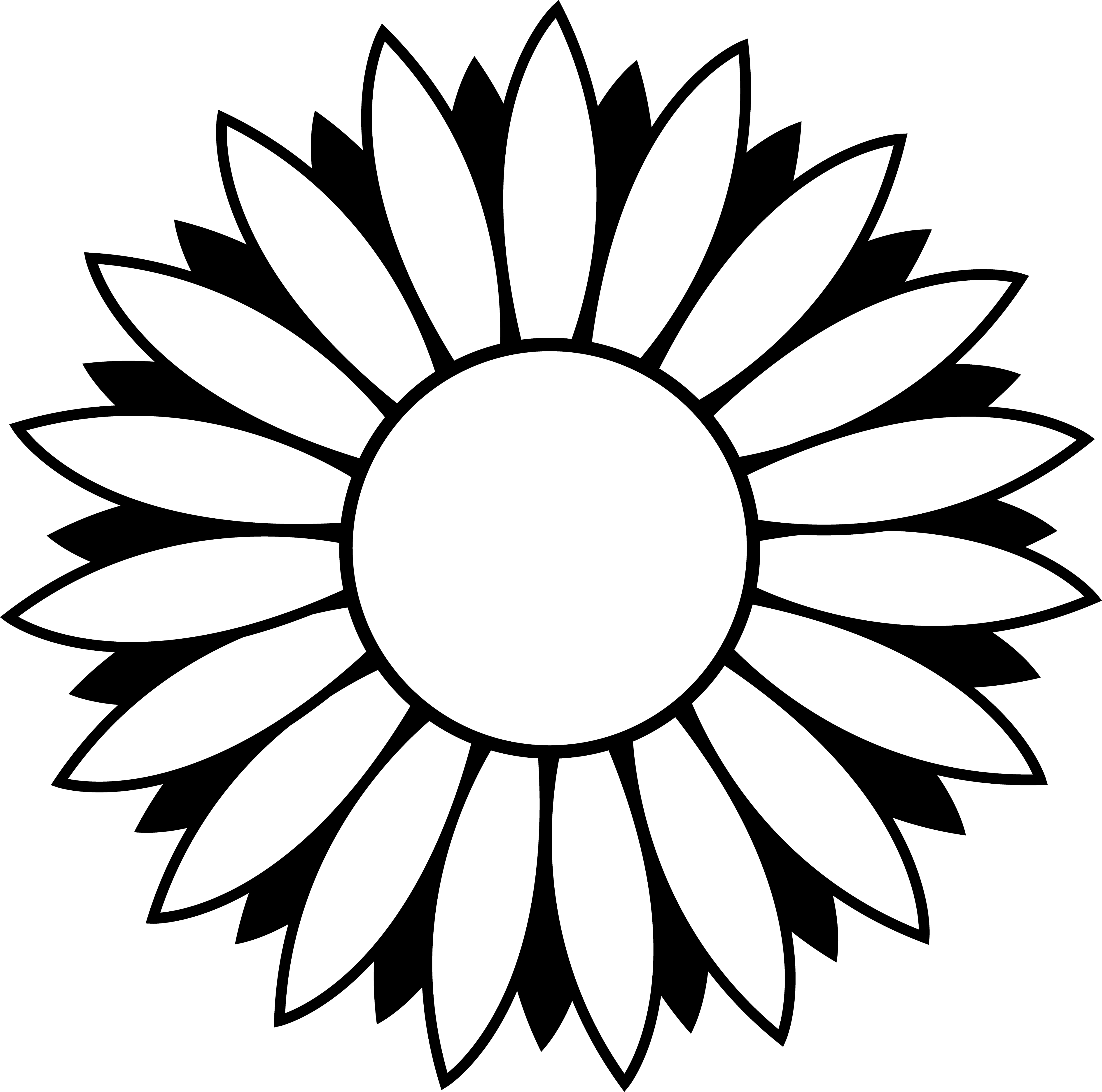 4880x4837 Collection Of Free Daisies Drawing Outline Download On Ui Ex - Daisy Drawing Outline