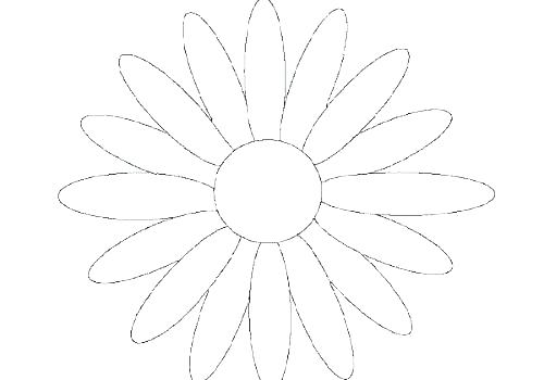 500x350 Coloring Pages For Boys Adults Animals Printable Daisy Drawing - Daisy Drawing Outline