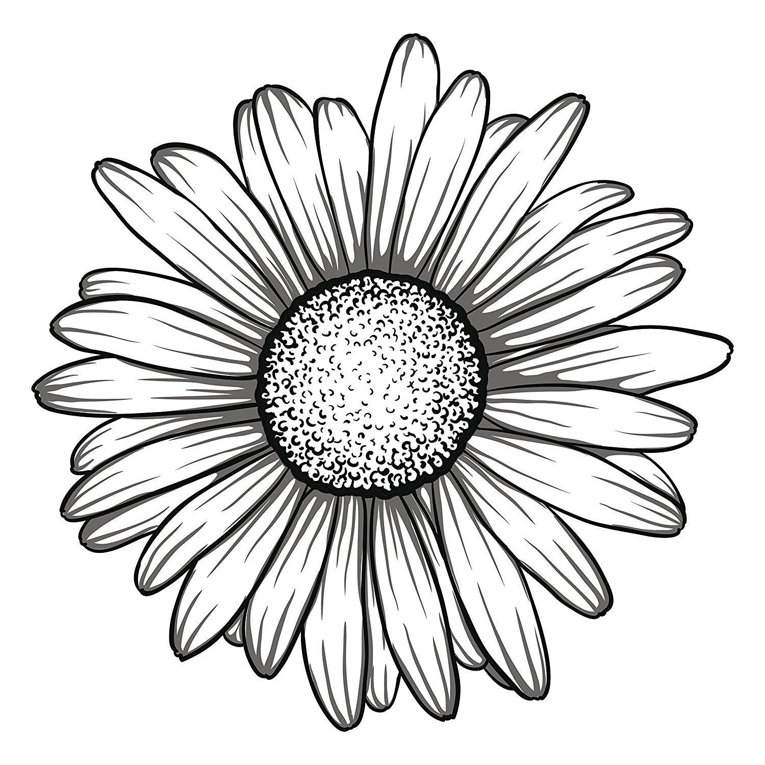 1500x1500 chamomile drawing tumblr flower for free download - Daisy Drawing Tumblr