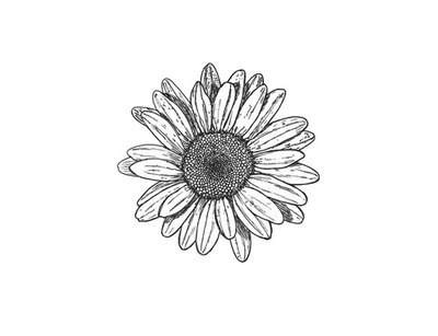 400x307 Draw Flower Tumblr Uploaded - Daisy Drawing Tumblr