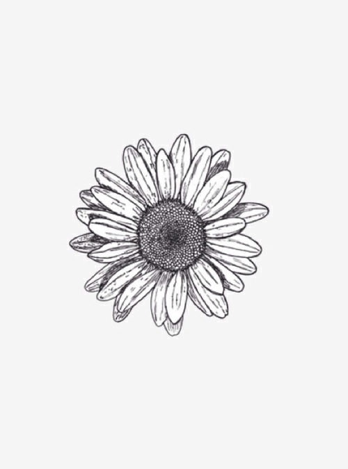 500x675 Gypsi Tattoos Tumblr My Style - Daisy Drawing Tumblr