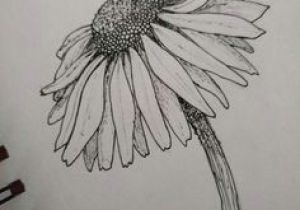 300x210 daisy drawing tumblr resultado de imagem para daisy flower drawing - Daisy Drawing Tumblr