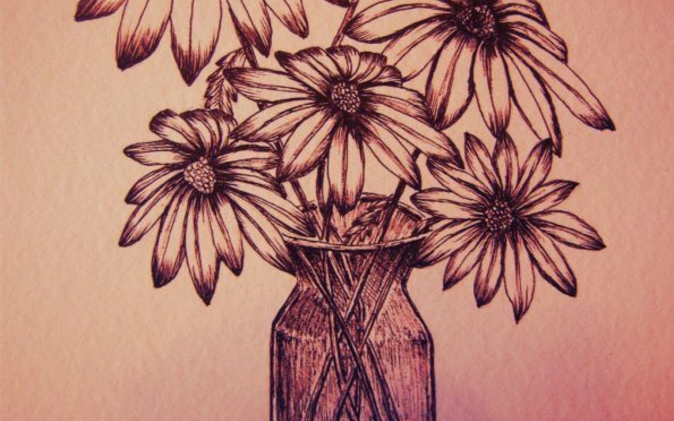 1368x855 Daisy Drawing Tumblr - Daisy Drawing Tumblr