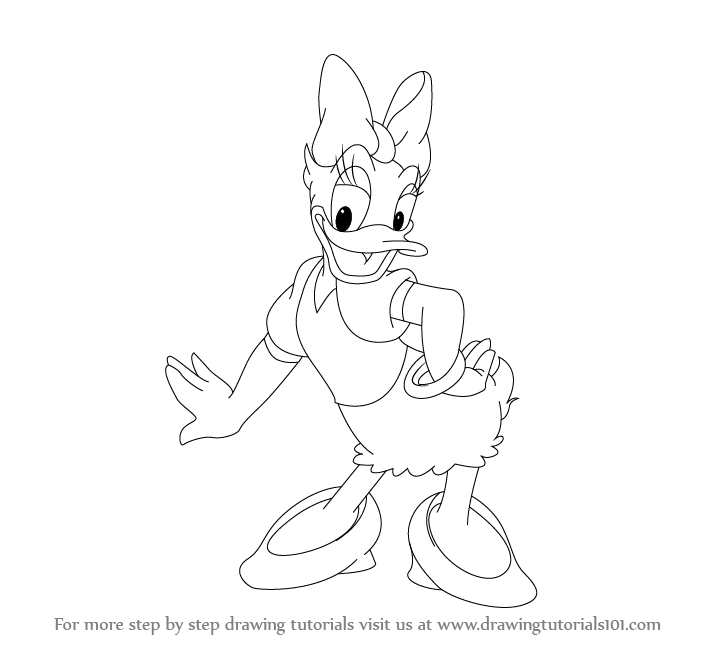 702x651 Learn How To Draw A Daisy Duck - Daisy Duck Drawing