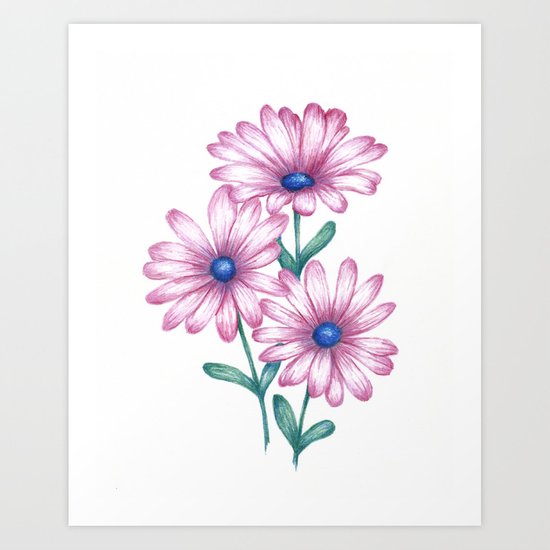 550x550 Flower Drawing Daisy Pink Print, Botanical Art Art Print - Daisy Flower Drawing