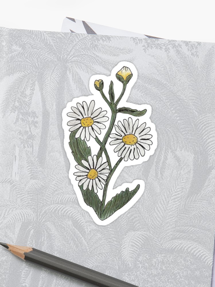 750x1000 Moon Daisy Flower Drawing Sticker - Daisy Flower Drawing
