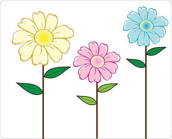 550x443 Daisy Flower Drawing - Daisy Flower Drawing