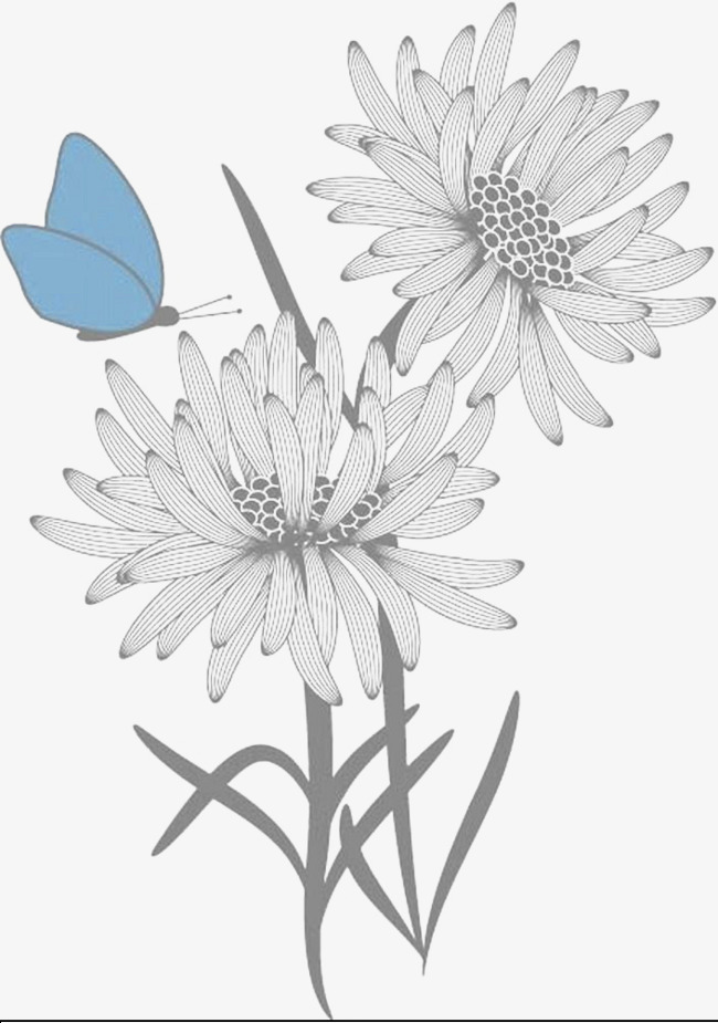 650x925 Daisy And Blue Butterfly Line Drawing, Daisy Clipart, Butterfly - Daisy Line Drawing